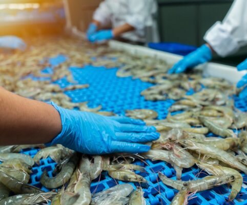 Calibration for food manufacturing